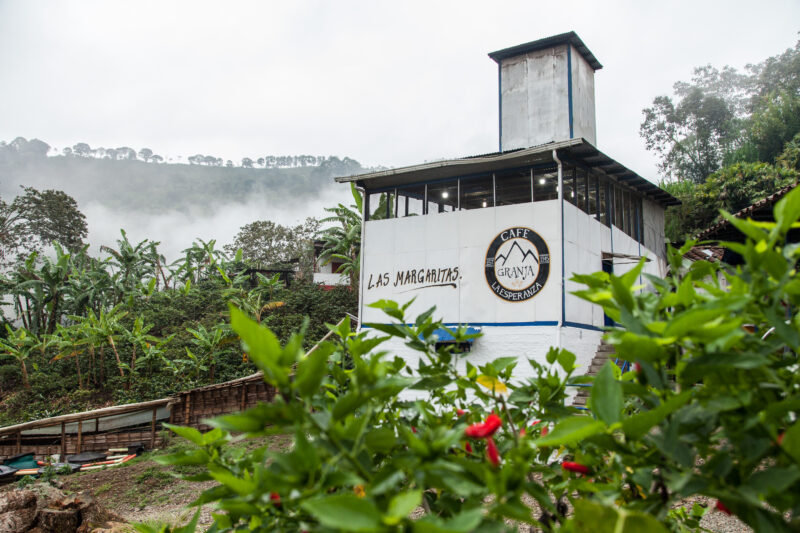 Las Margaritas