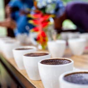 coffee job