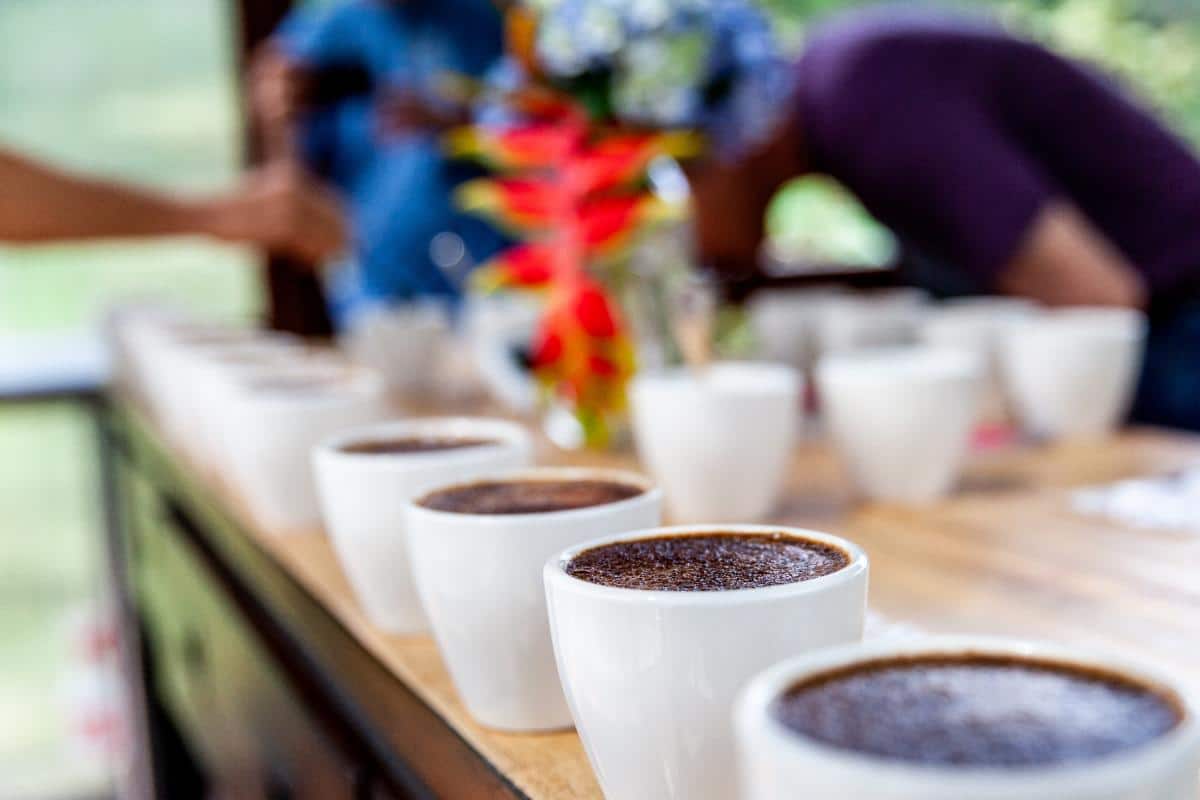 coffee job